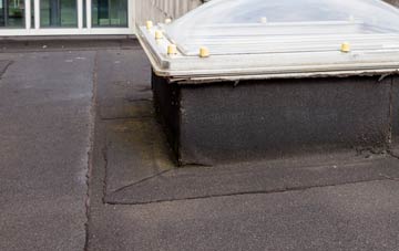 disadvantages of North Perrott flat roofs