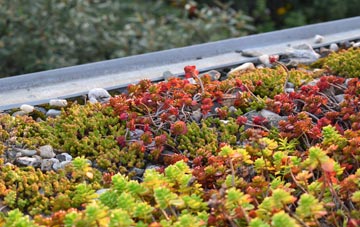 the cost of North Perrott green roof installation