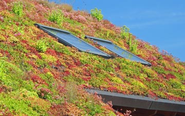 North Perrott living roof systems